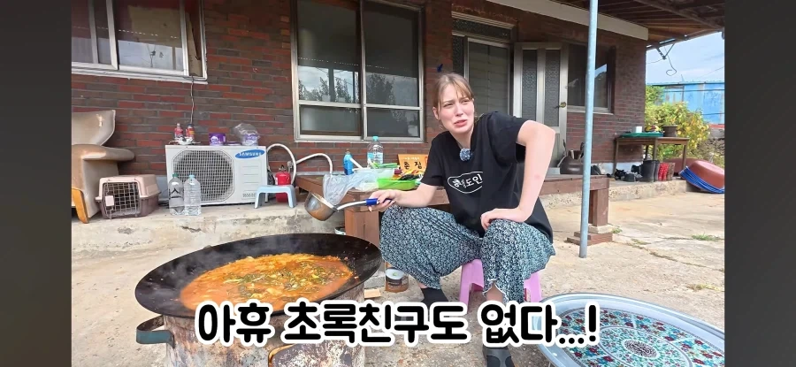 고향 갈 생각에 우울해진 독일인 - 이미지 15