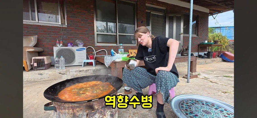 고향 갈 생각에 우울해진 독일인 - 이미지 16