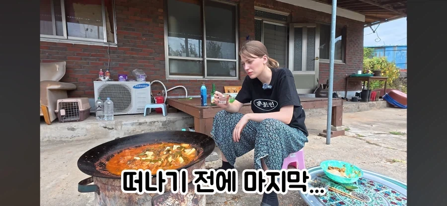 고향 갈 생각에 우울해진 독일인 - 이미지 19