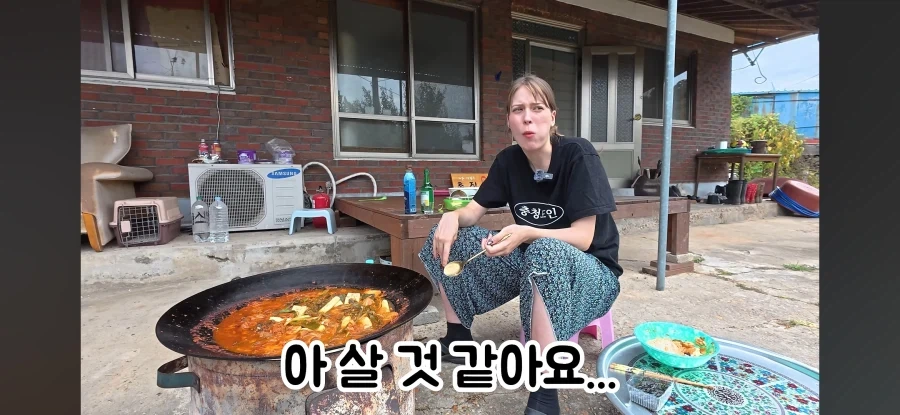 고향 갈 생각에 우울해진 독일인 - 이미지 22