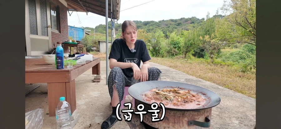 고향 갈 생각에 우울해진 독일인 - 이미지 24