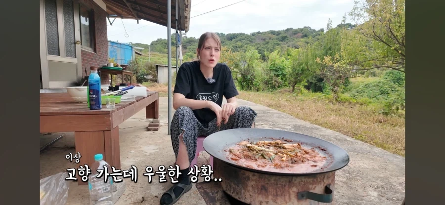 고향 갈 생각에 우울해진 독일인 - 이미지 25