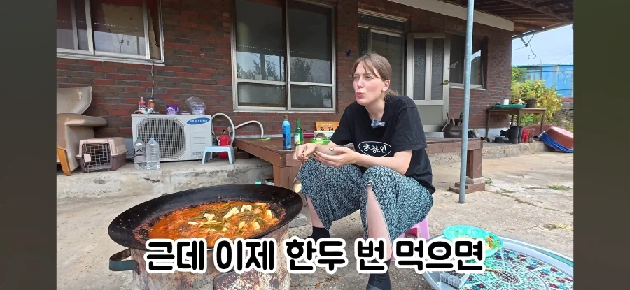 고향 갈 생각에 우울해진 독일인 - 이미지 31