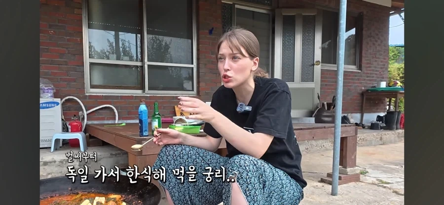 고향 갈 생각에 우울해진 독일인 - 이미지 38