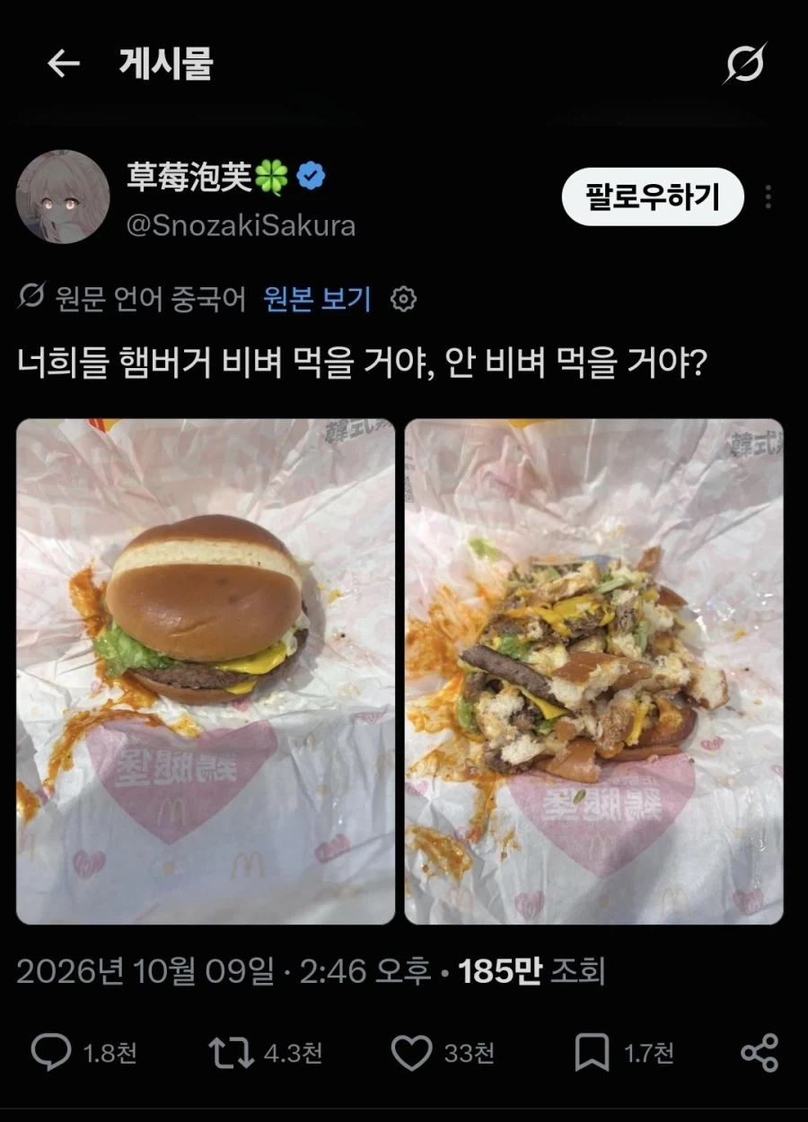 햄버거 비벼먹는 사람