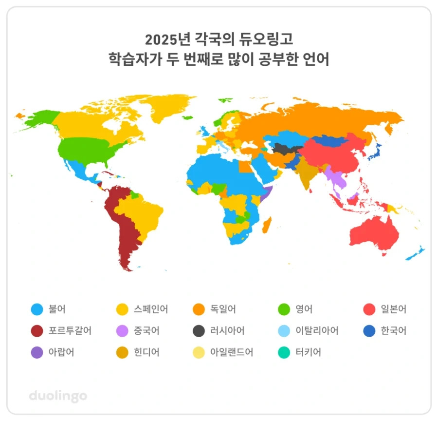 듀오링고에서 가장 인기 있는 언어 톱10.jpg - 이미지 4