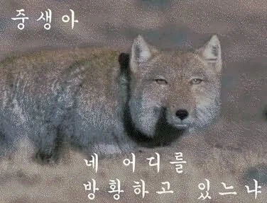 아카라이브 거기 불법 채널도 대놓고 있는 곳 아님? ㄷㄷ - 이미지 2