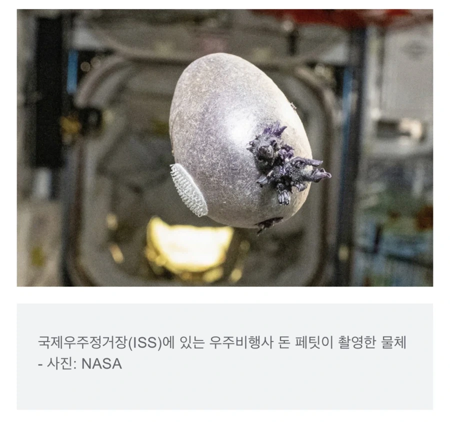 우주정거장에서 무슨 실험을 하는거야 ㅁㅊㄴ아!!!!!