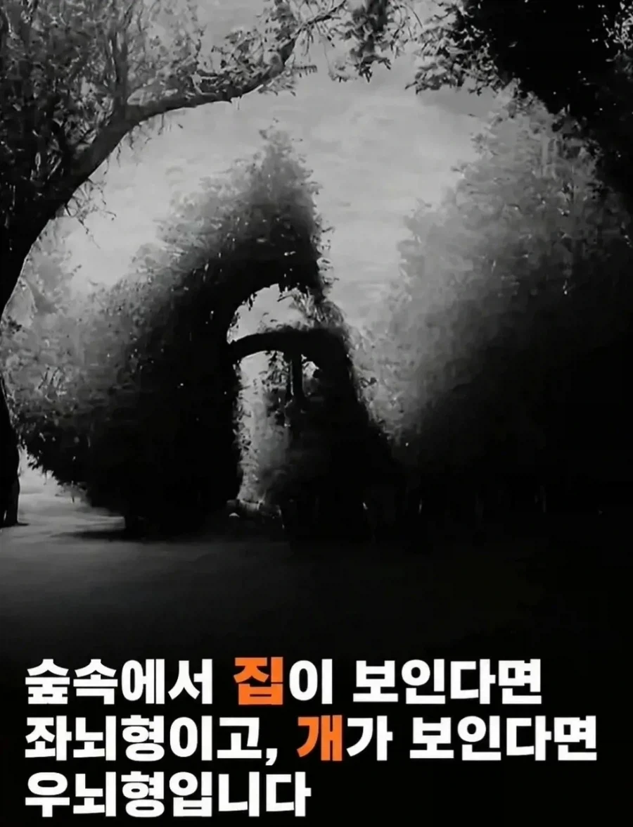 좌뇌형 우뇌형 타입 구별이 가능하다는 그림