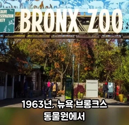 세상에서 가장 위험한 동물.jpg