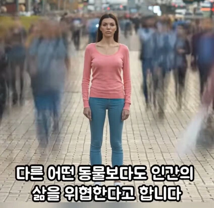 세상에서 가장 위험한 동물.jpg - 이미지 4