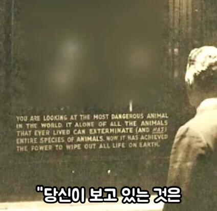 세상에서 가장 위험한 동물.jpg - 이미지 9