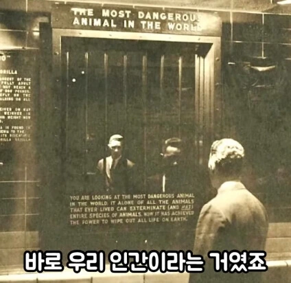 세상에서 가장 위험한 동물.jpg - 이미지 16