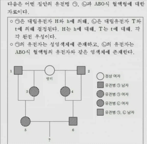 완전 미쳐버린 개족보.jpg