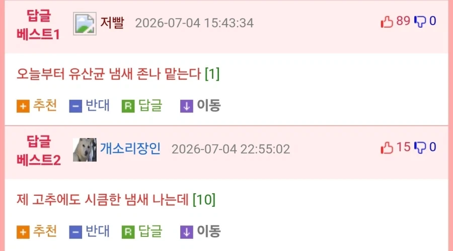 19 여성 성기에서 시큼한 냄새나는게 정상인 이유 - 이미지 2