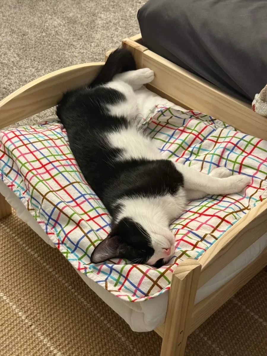 이케아 고양이 침대 - 이미지 12