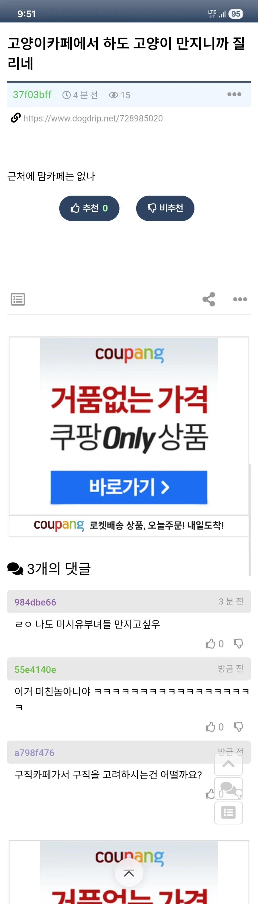 고양이 카페 질린다