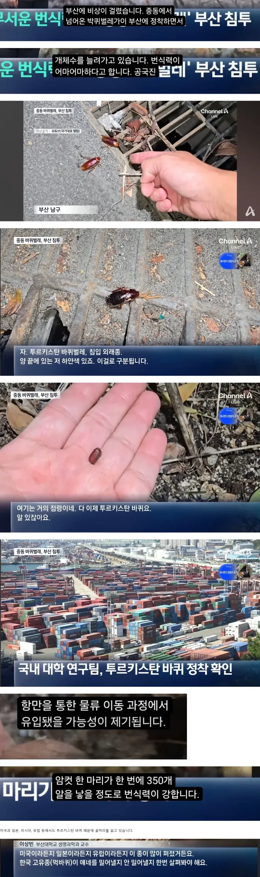 약혐)드디어....올것이 왔군