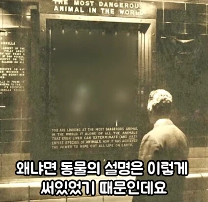 세상에서 가장 위험한 동물.jpg - 이미지 8