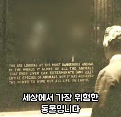 세상에서 가장 위험한 동물.jpg - 이미지 10