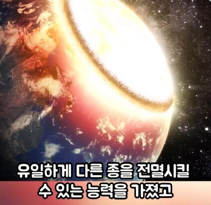 세상에서 가장 위험한 동물.jpg - 이미지 11