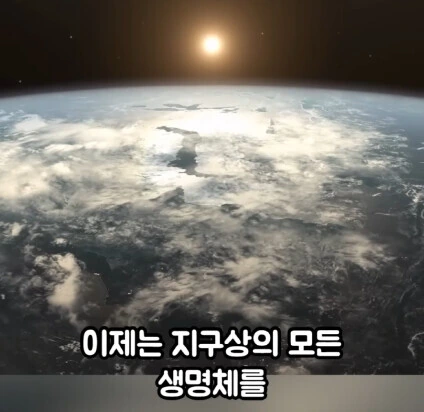 세상에서 가장 위험한 동물.jpg - 이미지 12