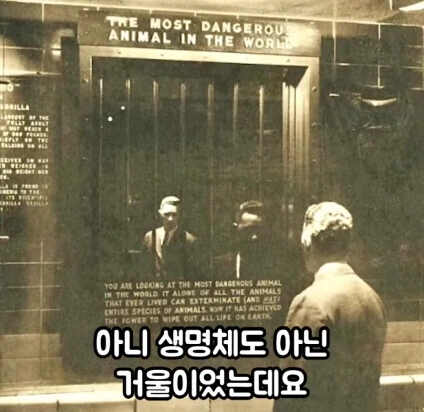 세상에서 가장 위험한 동물.jpg - 이미지 15