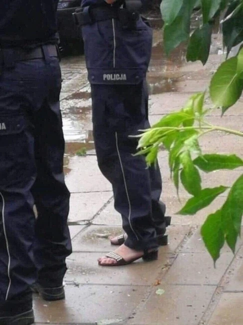 저주받은 사진 모음 - 이미지 10