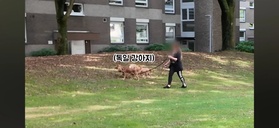 독일사람처럼 보이고 싶은 독일인 - 이미지 6