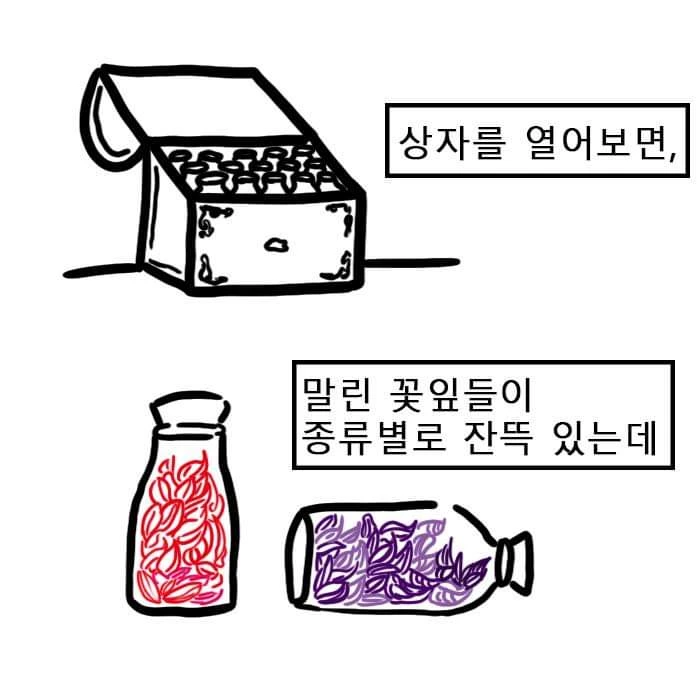 집에 꽃잎들이 가득한 이유 manhwa - 이미지 2