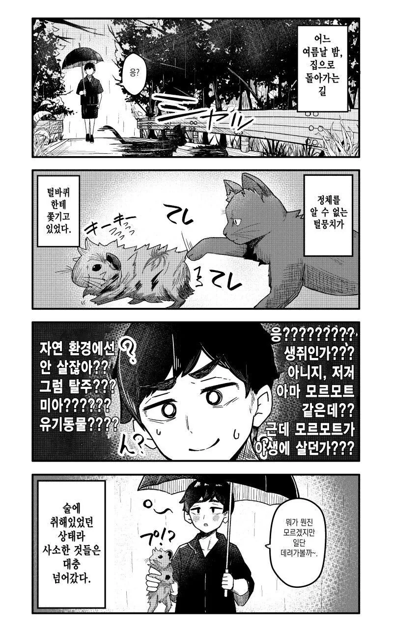 기니피그를 줍는.manwha