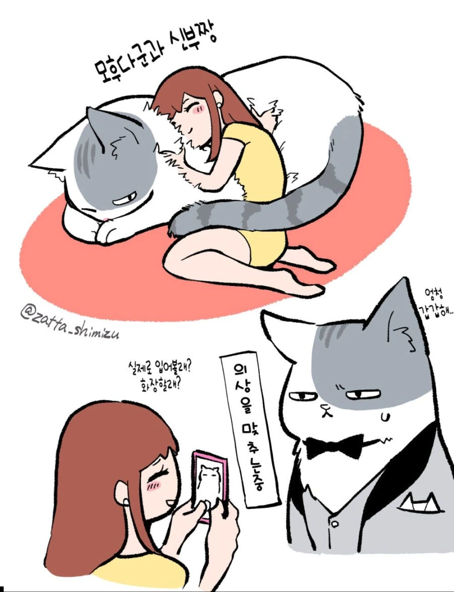 회사원이 고양이가 된 만화.manwha - 이미지 7