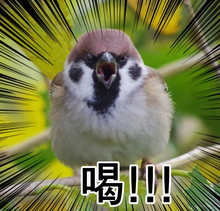 MCU) 가오갤에서 나오면 꿀잼 보장 타임 - 이미지 2