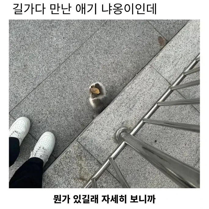 일본에서 성행한다는 분양사기