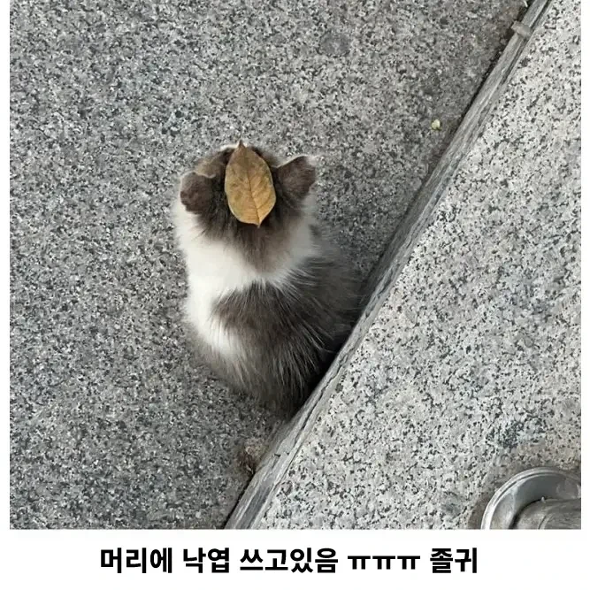 일본에서 성행한다는 분양사기 - 이미지 2