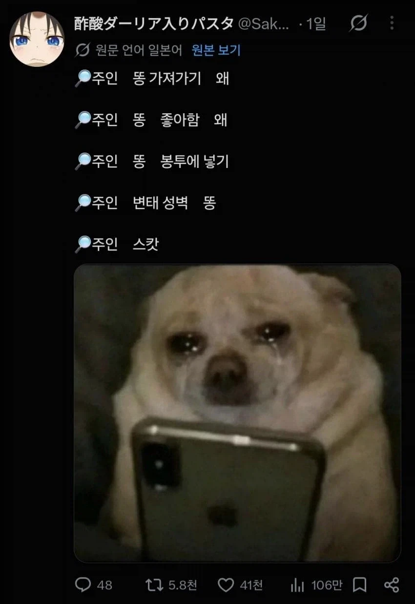 반려견 시점 이해하기.....jpg