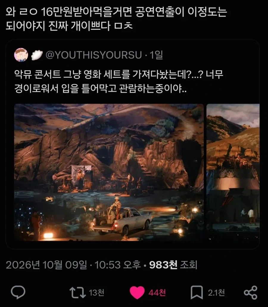 콘서트 티켓이 비싸 악동뮤지션에게 너무 실망했다 - 이미지 6