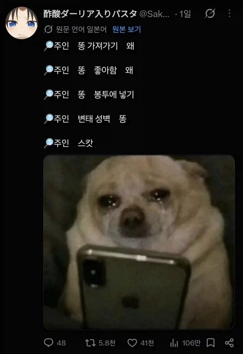 주인님을 걱정하는 강아지