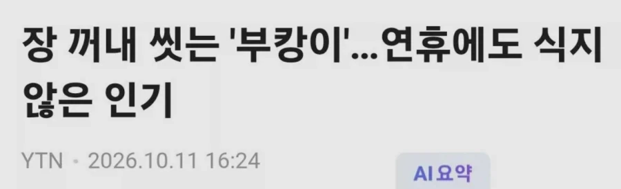 장꺼내 씻는 부캉이