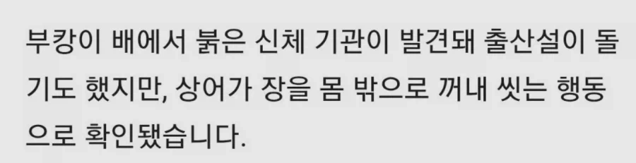 장꺼내 씻는 부캉이 - 이미지 3