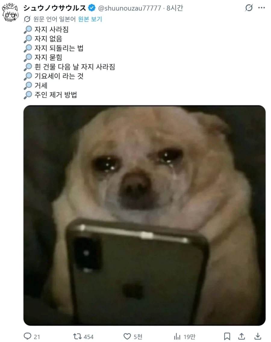 어느 개의 검색 기록