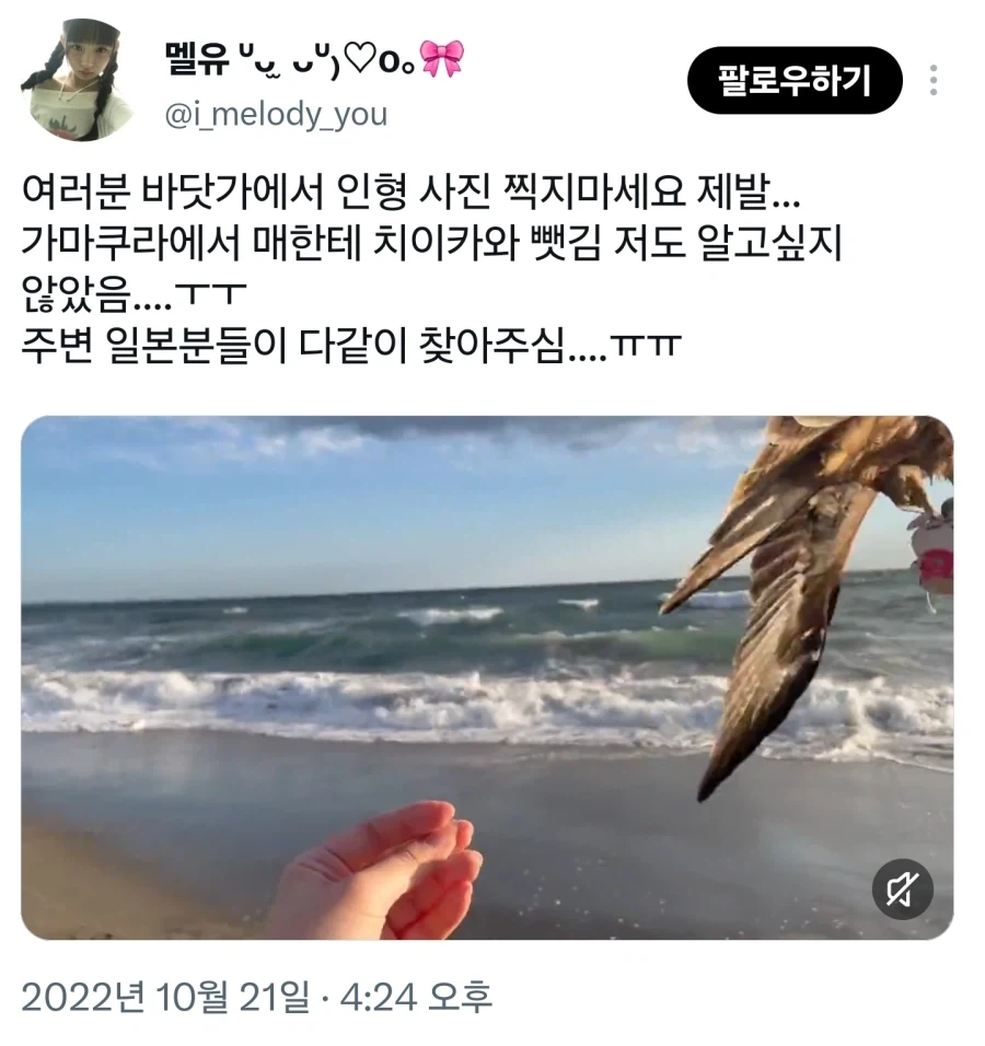 치이카와 : 주...주인아....내좀 살살 잡아줘.....