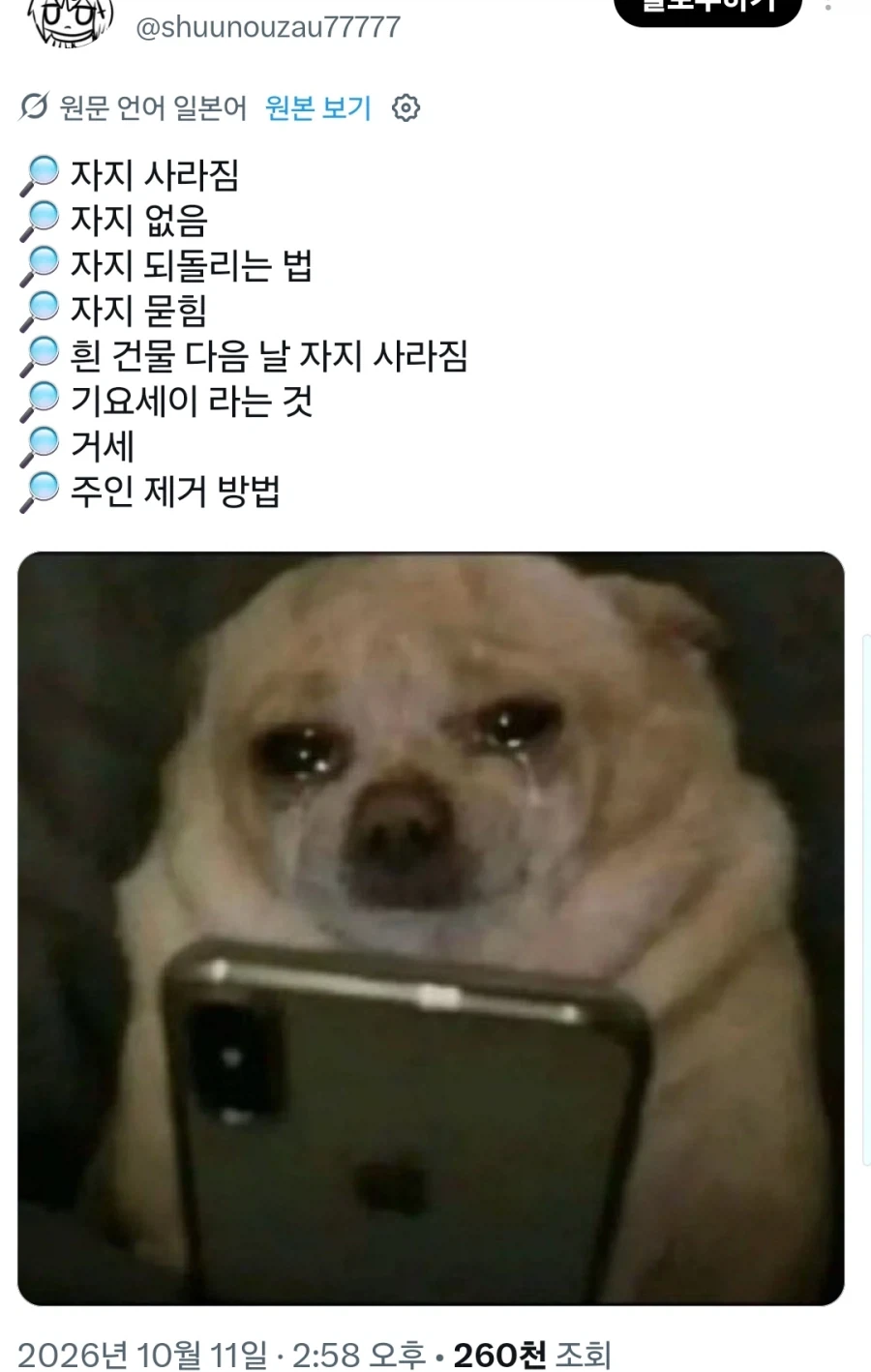 강아지가 핸드폰을 쓸 수 있다면