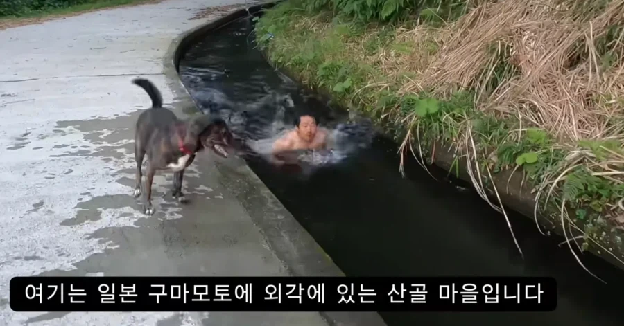 유튜브)조회수 급폭발하면 뜨나보넹 - 이미지 2
