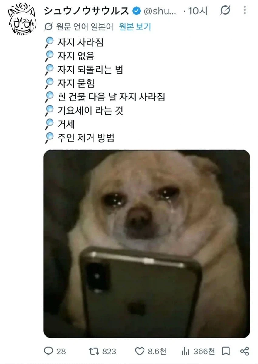 너무나 슬픈 강아지
