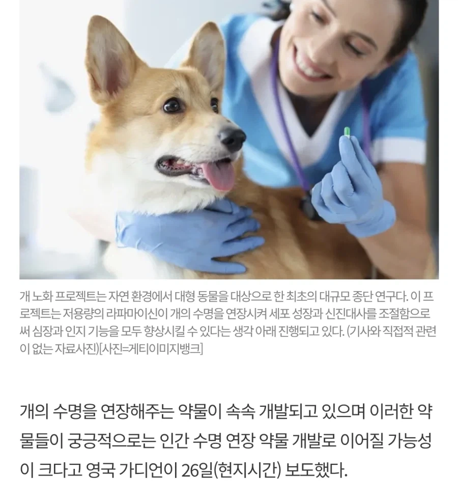 인간은 냅두고 왜 자꾸 동물들만 특이점 맞이하냐.jpg - 이미지 2