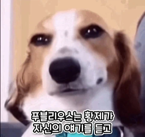 로마 황제에게 무리수를 던진 평민의 최후.jpg - 이미지 14