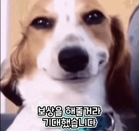 로마 황제에게 무리수를 던진 평민의 최후.jpg - 이미지 15