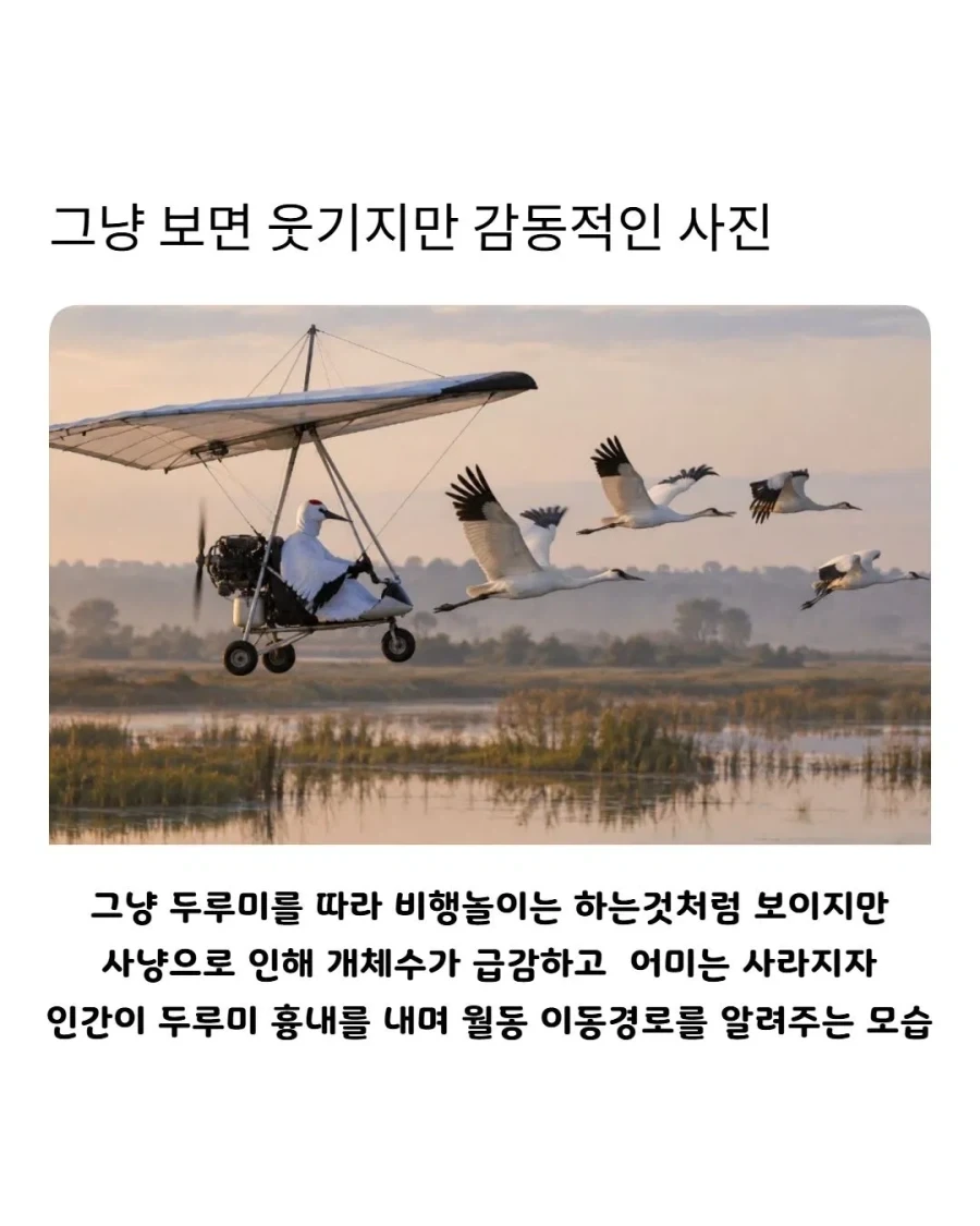 그냥 보면 웃기지만 알고 보면 감동적인 사진