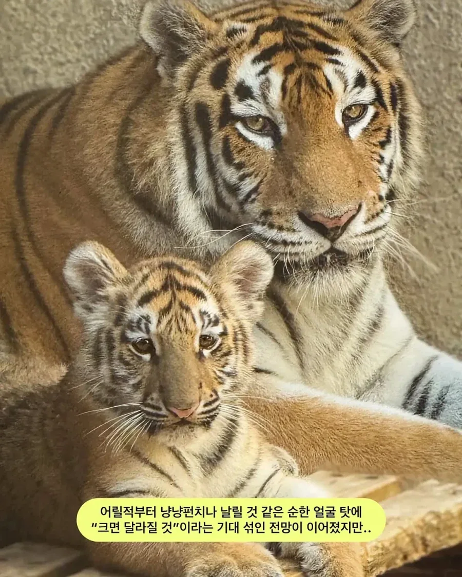 가족들과 다른 외모.jpg - 이미지 4